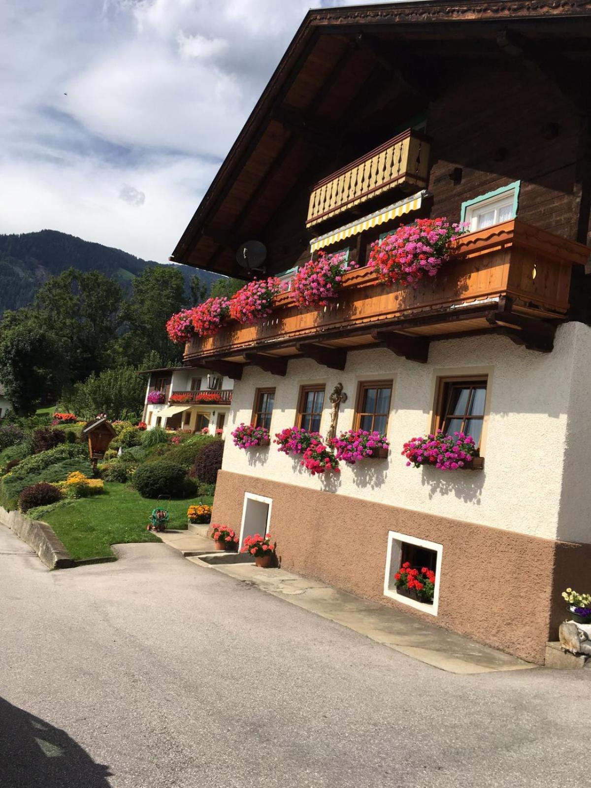 Dölsach Ferienwohnung Haus Gomig מראה חיצוני תמונה